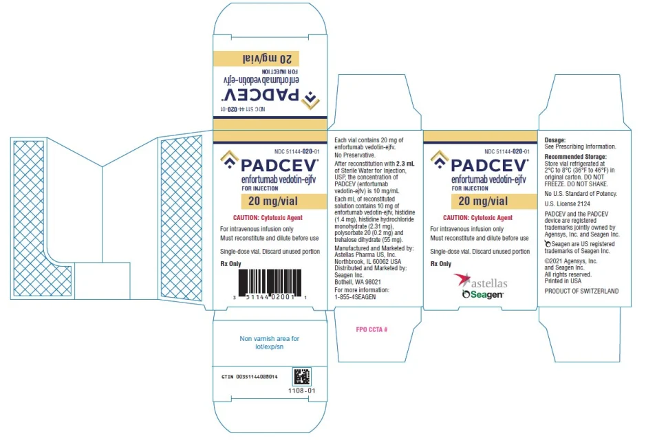 PADCEV · US package-label artwork; supplied packaging may differ.